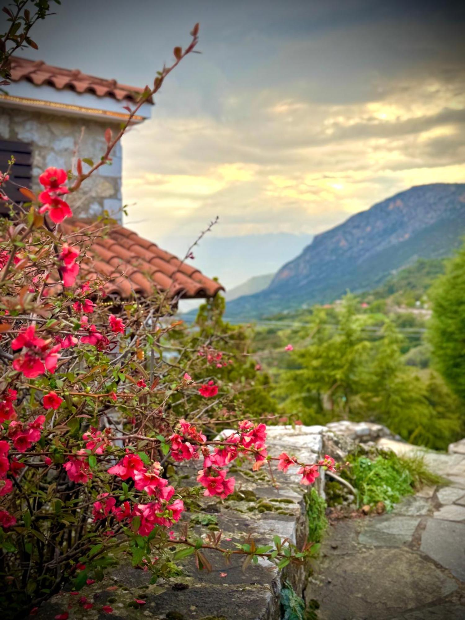 Rock Dandy Deluxe Chalet In Arachova - Delphi, Sauna, Prv Parking, Amazing View Extérieur photo